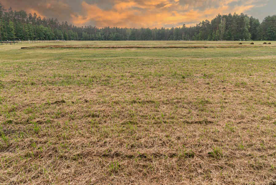 Polonia - Treblinka 31 - Treblinka ll - Campo de Exterminio.jpg